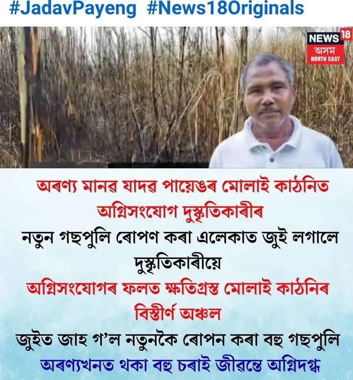 SIANG16's tweet photo. The Universe knows what is wrong with people!
Shame on destructive characters!
#jadavpayeng #forestman https://t.co/TdtiFziUqu