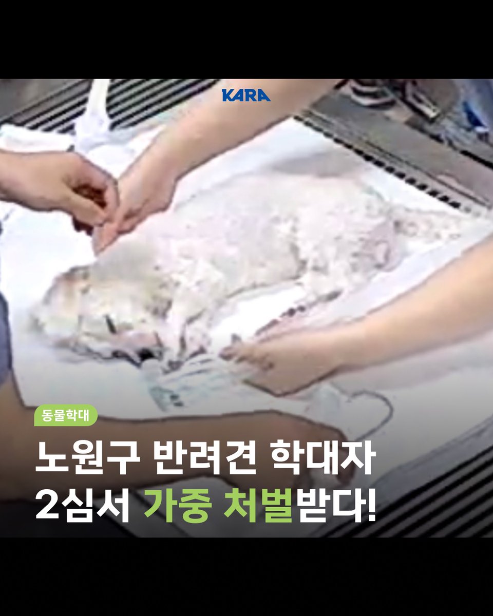 동물권행동 카라 tweet media