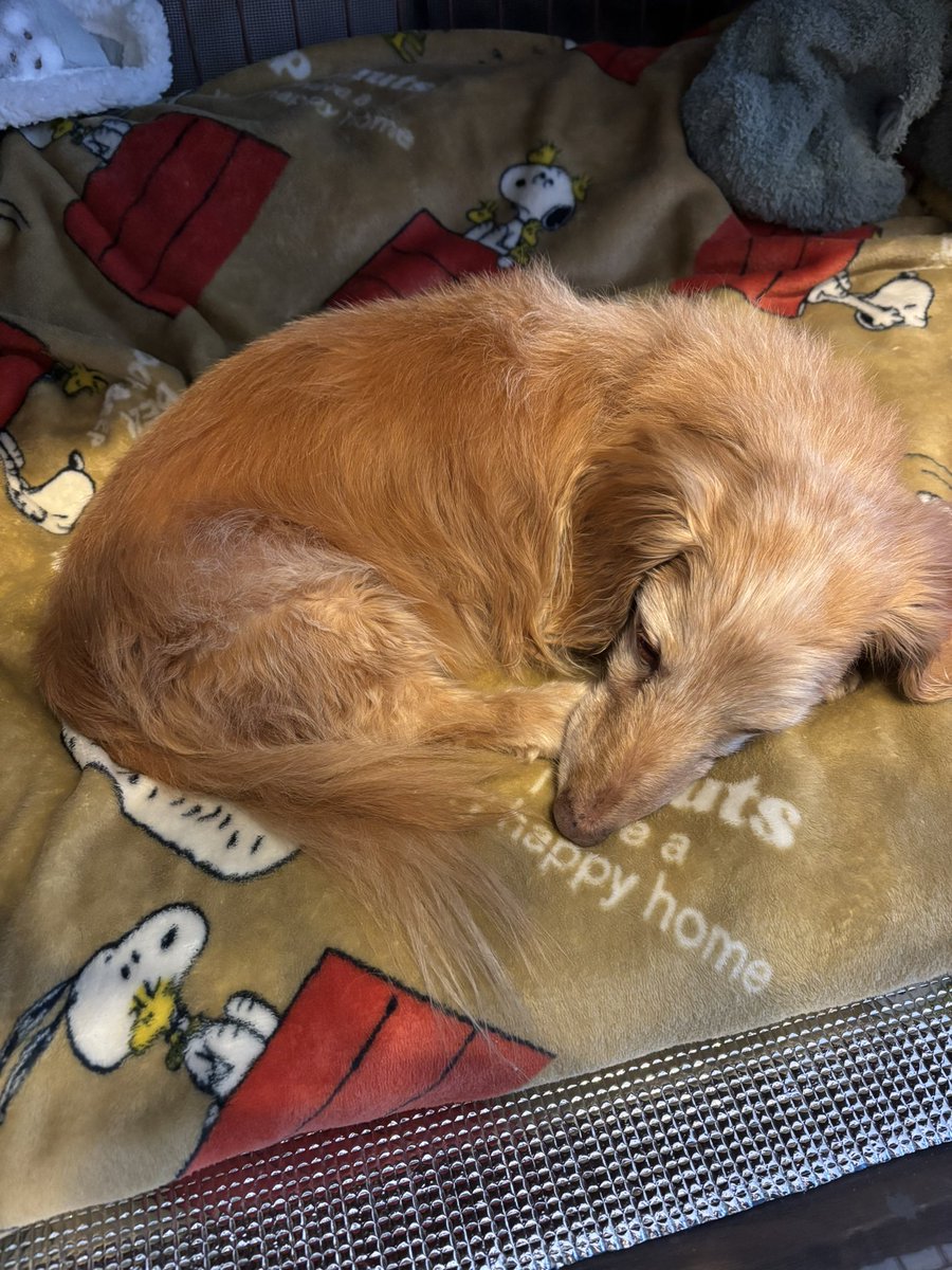 ゆきんこ🌸 (@Yukinko0520) / Posts / X