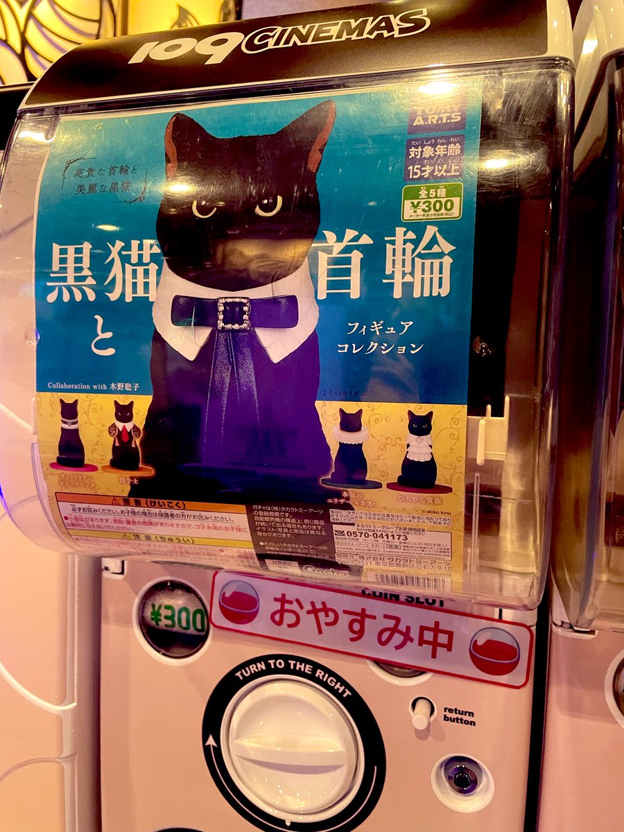 ねこまんま (@nekomanma0822) / Posts / X