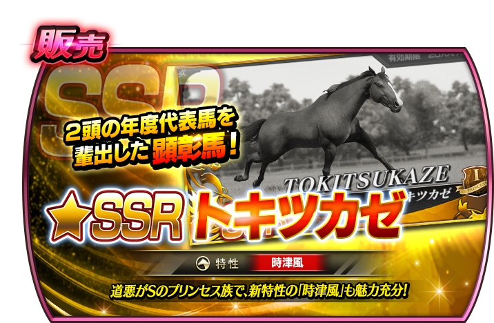 明日1/1(木)15時より 牝馬販売にトキツカゼが初登場！ 2頭の年度代表馬