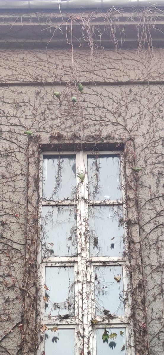 Ankara Hukuk'ta sıradan bir gün😊