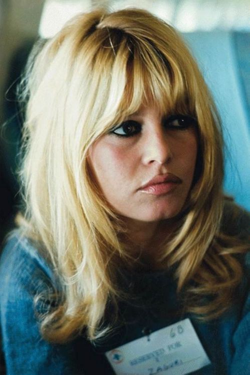 Addio sexy icona 🙏🥲ciao BB..

#BrigitteBardot