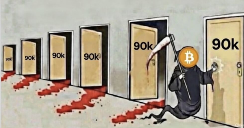 QuintenFrancois tweet picture