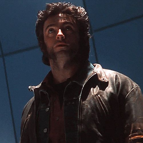 logan as cats tweet media