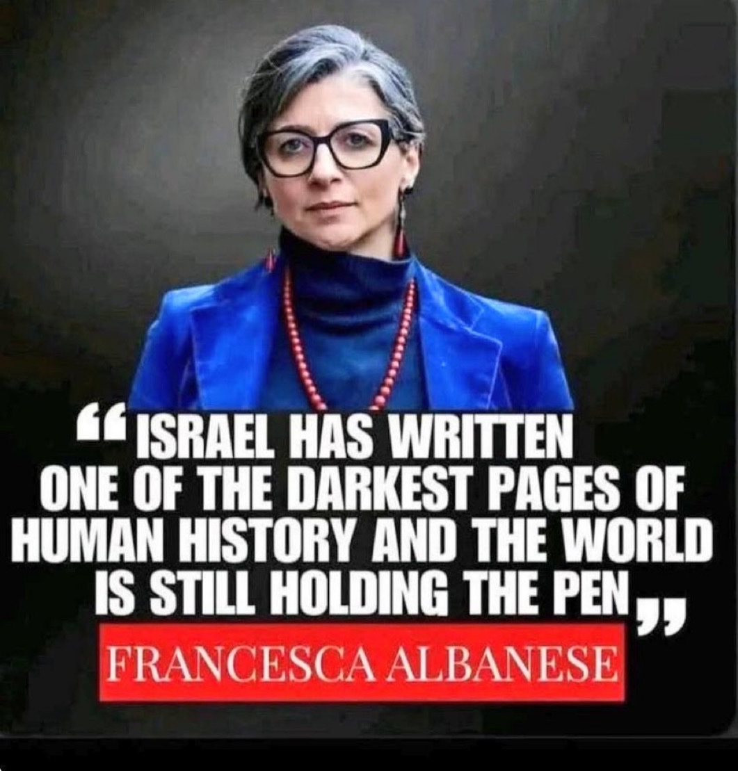 Do you agree with Francesca Albanese?