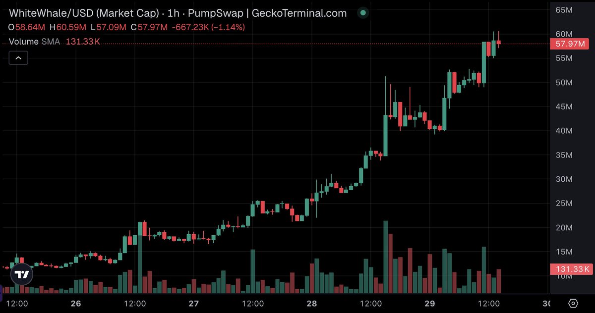 🦎COINGEKO-T: $WHITEWHALE in testa su GeckoTerminal: +68% nelle ultime 24 ore!
