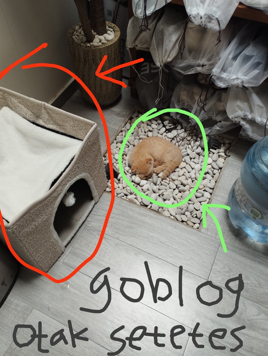 ZER0DOKESHI's tweet image. hari kedua mengamati tingkah dan pola pikir dik pokky