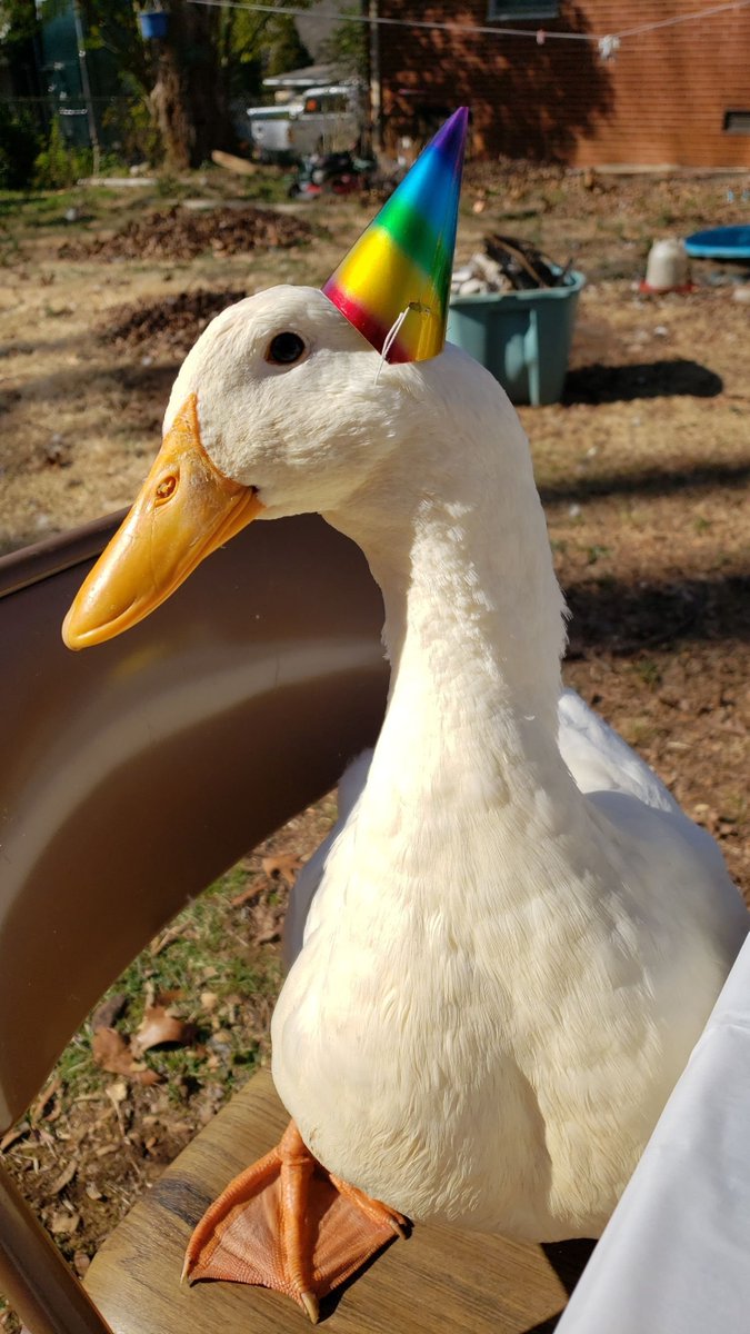 ShotbyTanks's tweet image. 🎂 21 🎂