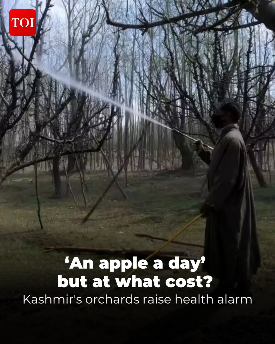 #Kashmir's #apple orchards face scrutiny as lawmakers and medical experts link decades of pesticide use to rising malignant brain tumours among orchard workers. Studies reveal high incidences of #brain cancer in fruit-growing districts, with evidence of pesticide residues found