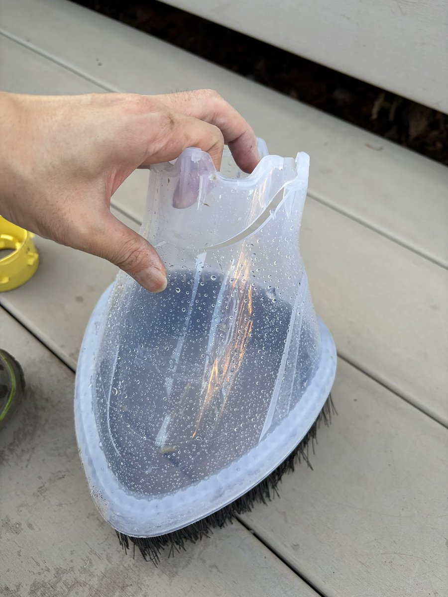 床に落ちてました 殺虫剤で剥げちゃったフローリング : r/fixit