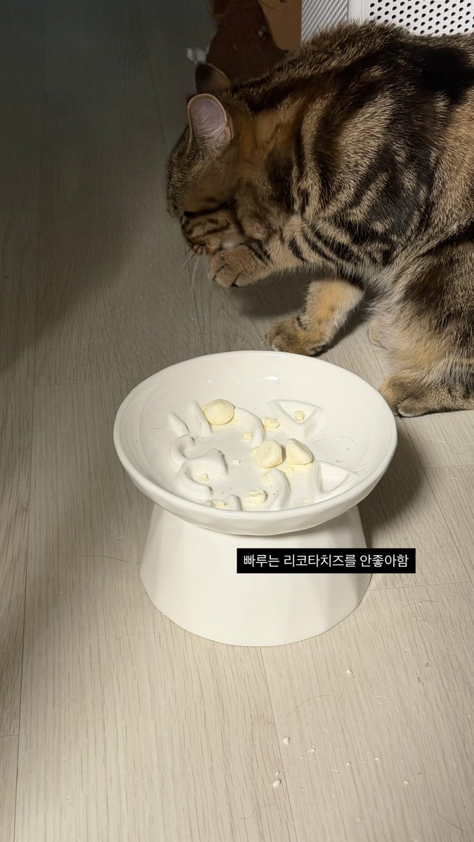 딸내미 취향 알아가는 압빠