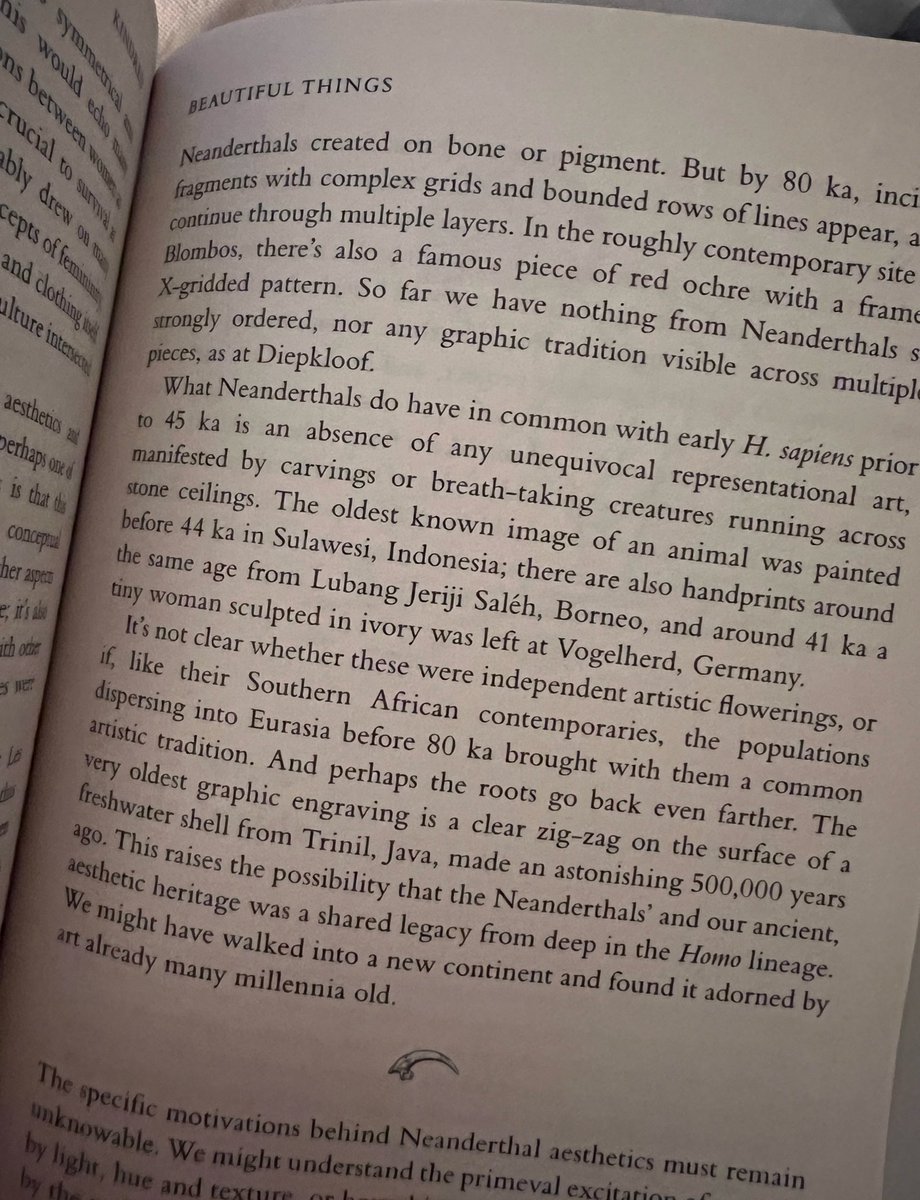 adyatombre's tweet photo. #kindred #book https://t.co/Kbdyovit89