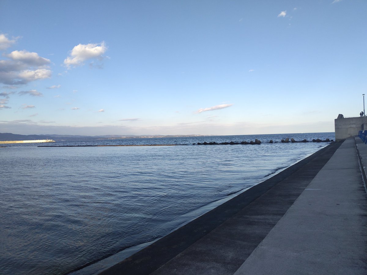 esse_lunga's tweet image. 別府湾