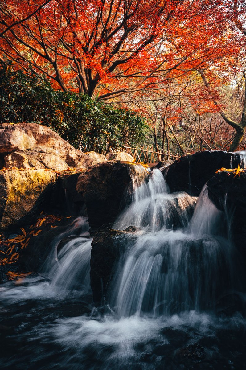 ViltroxOfficial's tweet photo. AF 35mm F1.2 LAB Z is a full-frame ultra-large aperture autofocus prime lens.
Credit: @笨加鸡蛋
#viltrox #viltrox35mmf12 #Viltrox35LAB #viltrox35f12z #Nikon #Nikonlove #Nikonlover #nikonphotography #photography #photographer #camerasetup #cameragear https://t.co/9v806SYlxN