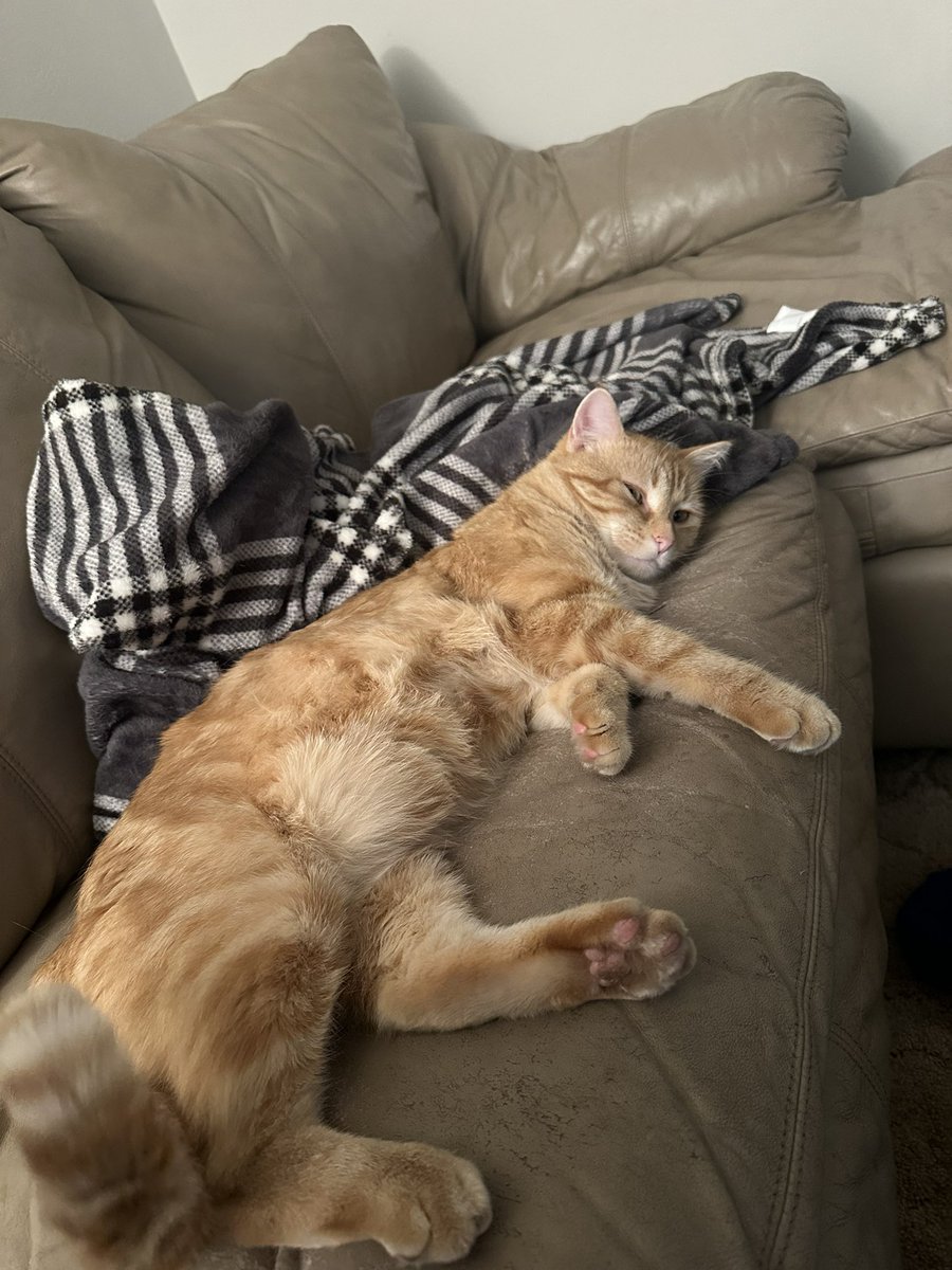 Shitty ass night. Here’s a pic of my cat