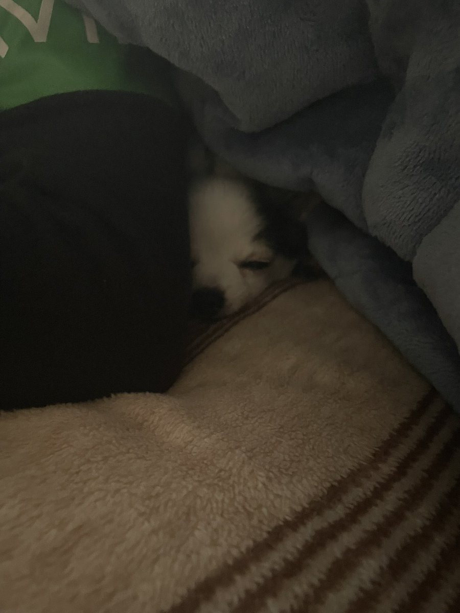 あなたは私が1番なのでは､､､⁇
流石に嫉妬案件😦