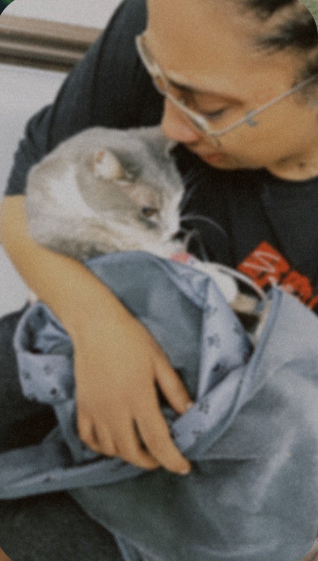 today i said goodbye to my best friend of 12 years.