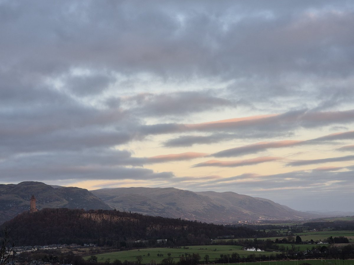 Brigid Russell tweet media