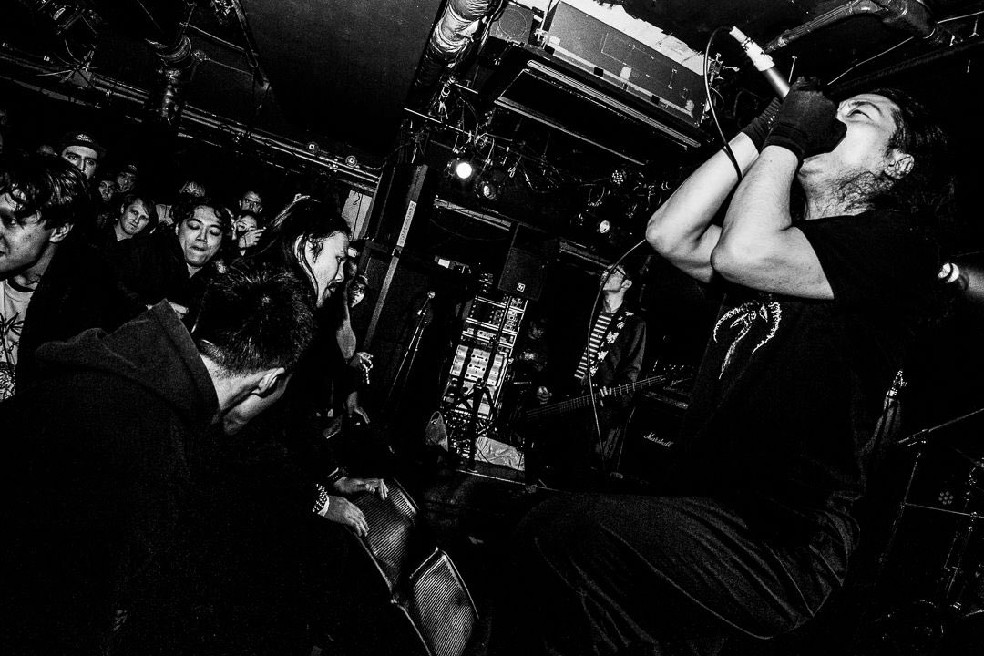 NEW REALM FEST tweet media