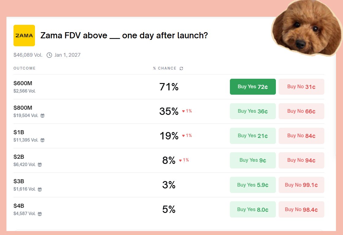 Poodle 🐩 tweet media
