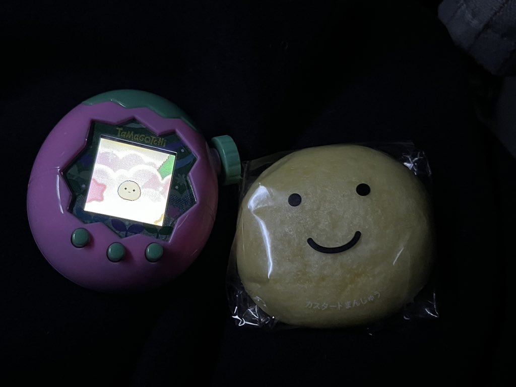 さやか様の専用ページ Official Calendar2023 壁掛けタイプ | 磯山さやかOFFICIAL GOODS