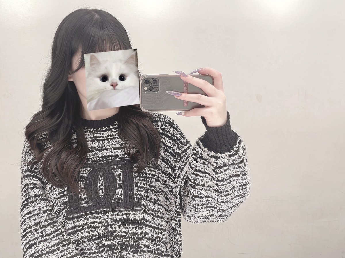 あんちゃんらんど (@__anchanland__) / Posts / X