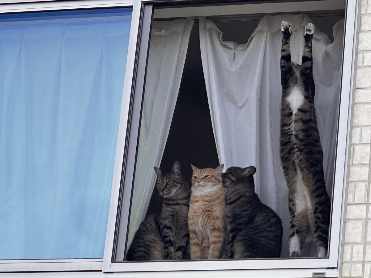 20siesta's tweet image. 再掲