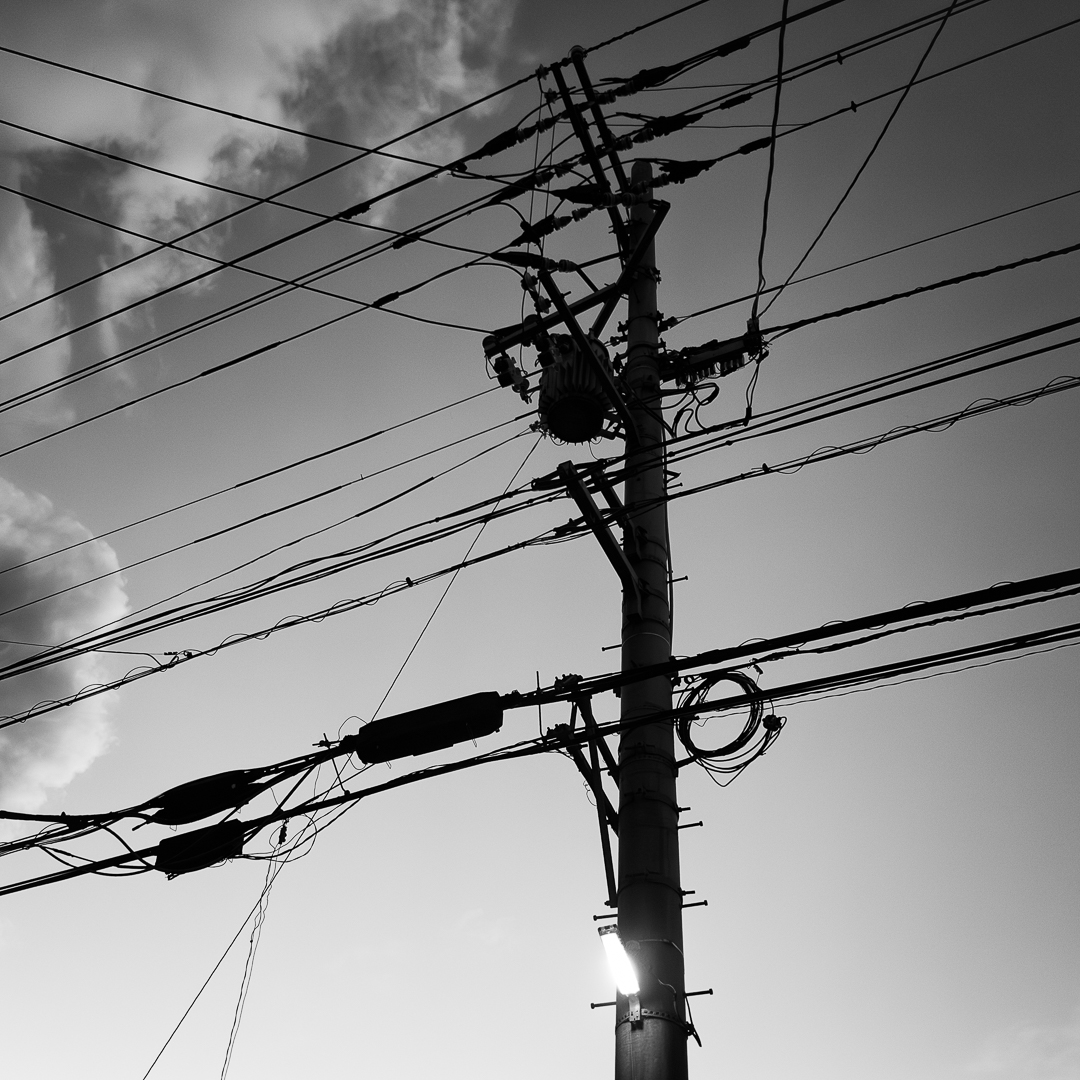 ❁user_ae8e59b6様❁専用です！ Dec 12th,2025 #twilight #夕暮れ時 #snapshots #monochrome