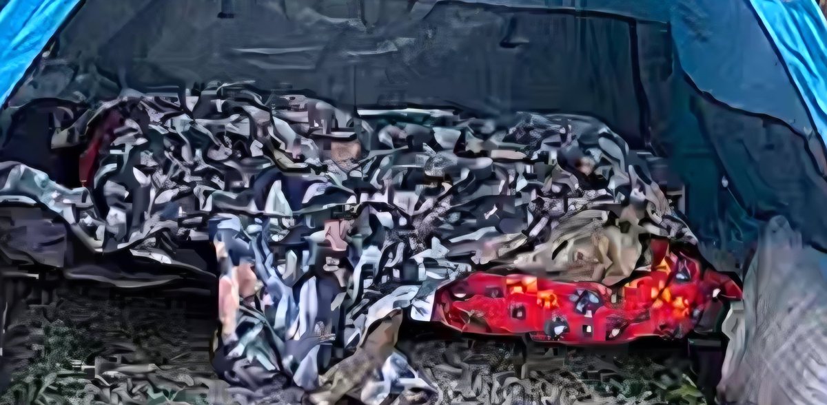 Vicki Graham tweet media