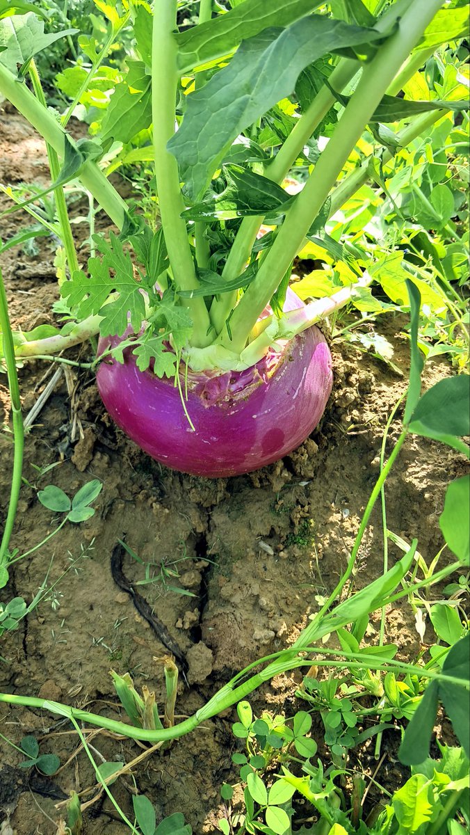 ये क्या है आप बता सकते  ??