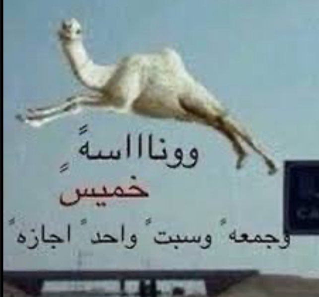 aree_218's tweet photo. باي باي جامعت https://t.co/Ppzf0DVeuy