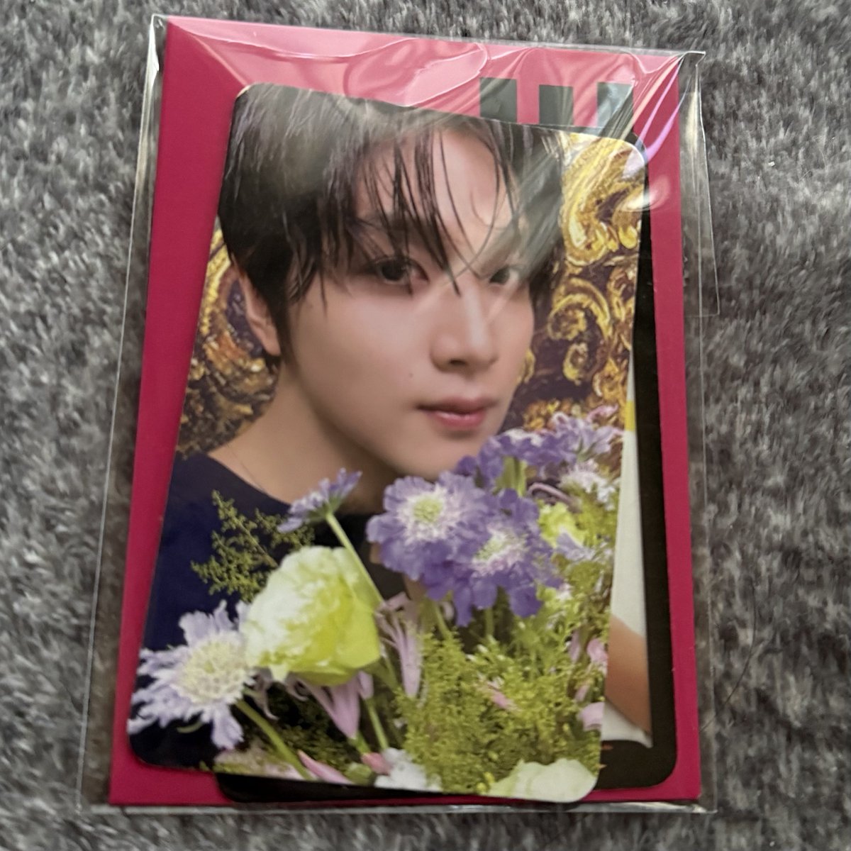 🐻💫 tweet media