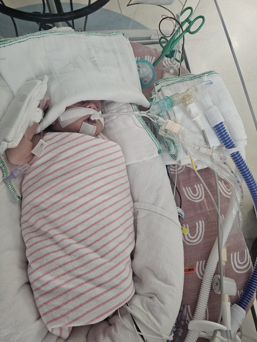 Oilersguru97's tweet photo. https://t.co/rBuRRN2G4W
Help Arya fights.  
5 weeks premature.  
overdosed at birth by a nurse
Undiagnosed heart defect. 
caught infection im bowels and liver back on breathing tube @gofundme  Just asking for a share 
#yeg https://t.co/913fQ9AqoH