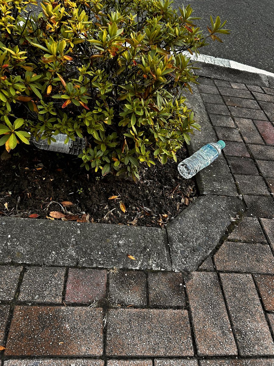 Dynamitemandom's tweet image. 昨晩明けはゴミ拾えなかったんだけど、、ちょっと街歩くだけで酷いもんだね！昨日からの累計だけまとめておく！ゴミ総数39個😌