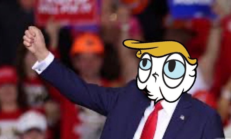DONALD tweet media