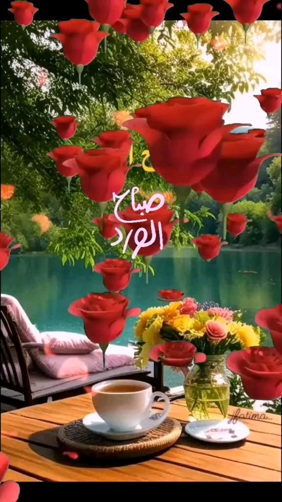 صباح الورد من قلبٍ يحب

ويتمنى لك يومٍ بلا تعب 

#تزوج_مسيار_عبر_تطبيق_استقرار
