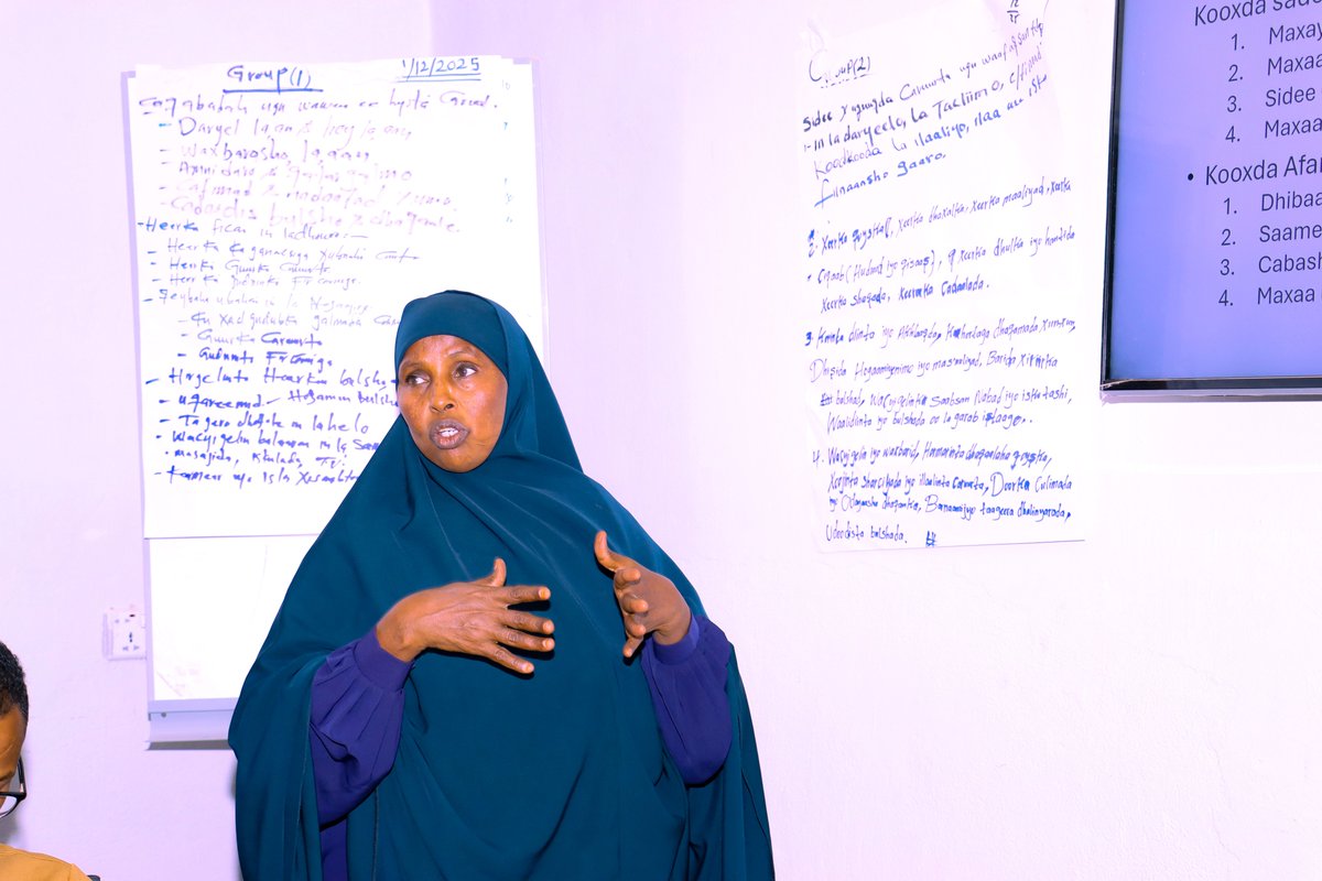 Somali Peace Line (Tubta Nabadda Soomaaliyeed) tweet media