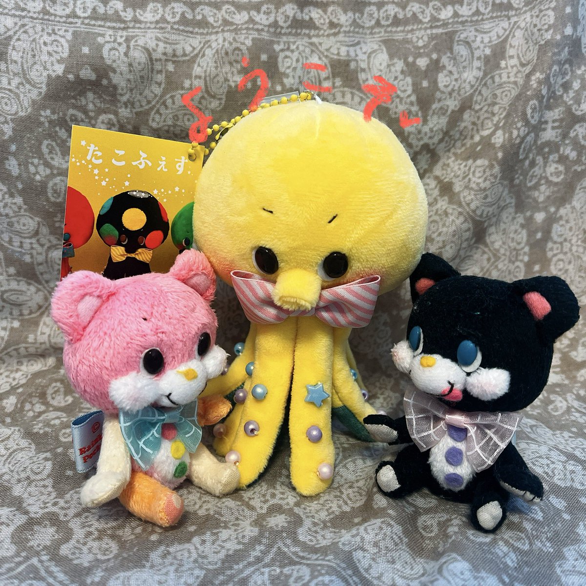 たこぺち。届きました！
ようこそ我が家へ…🩷可愛い…🐙