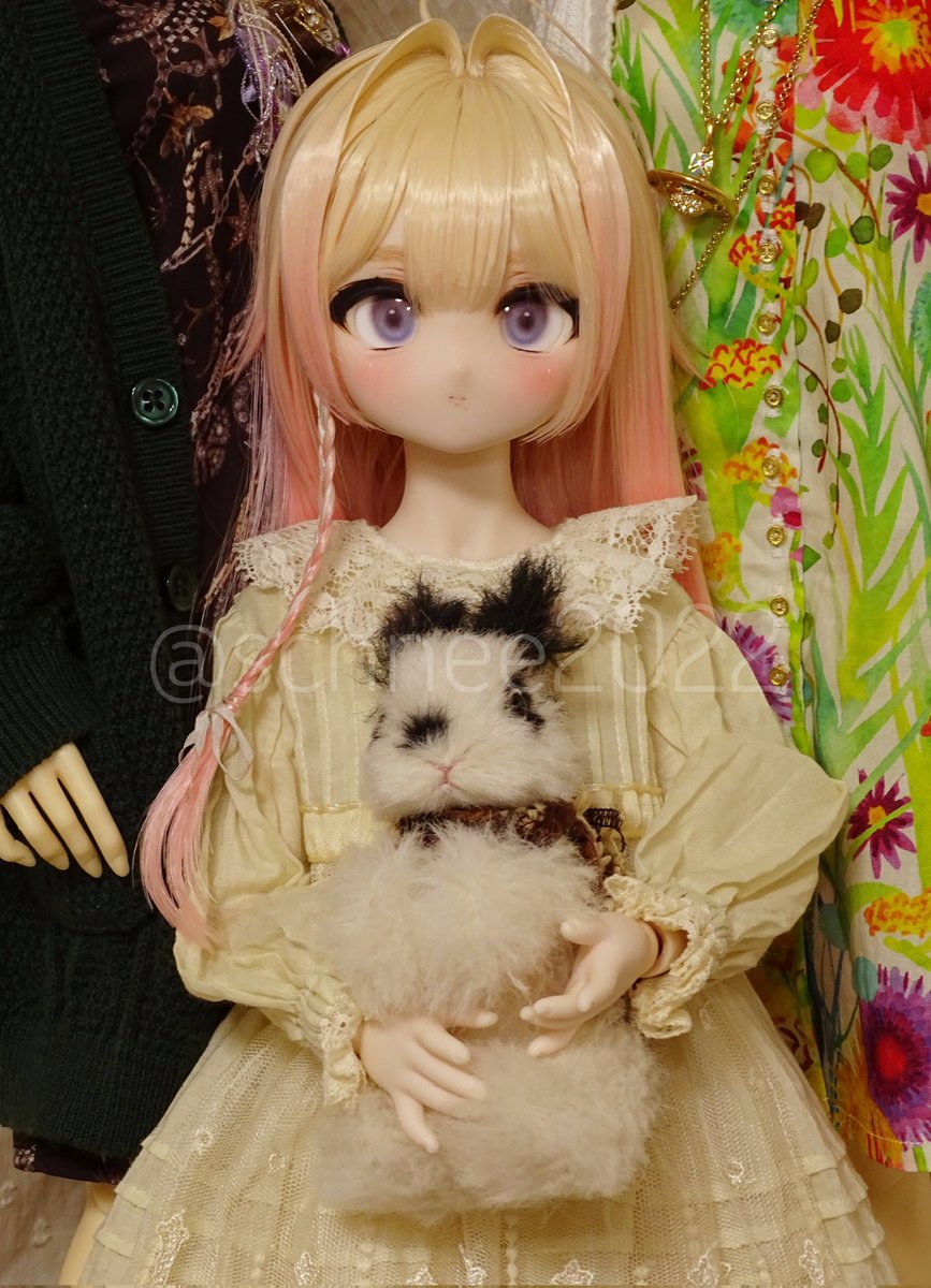 キニヒネキノヲル Bon (@ronronner_Bon) / Posts / X