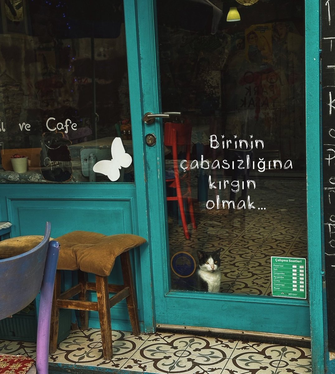 Bir gün var asra (@birgunvarasra) on Twitter photo 