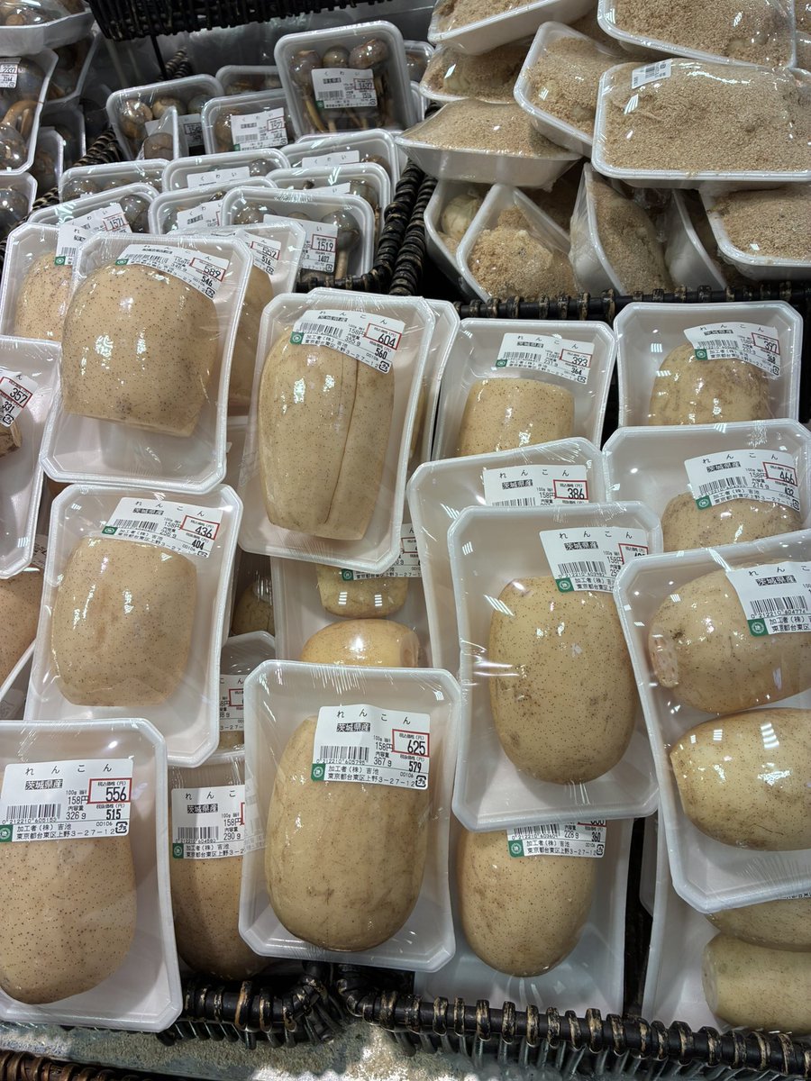 茨城県産 れんこん