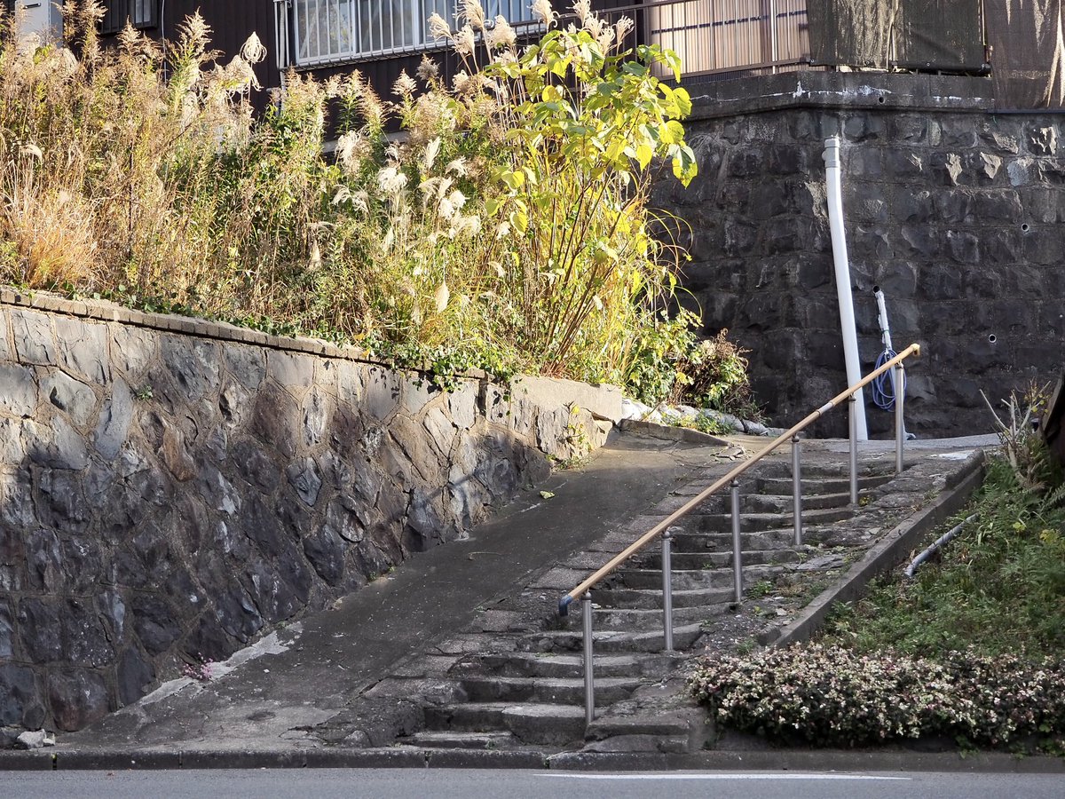 かめ (@kame__0877) / Posts / X