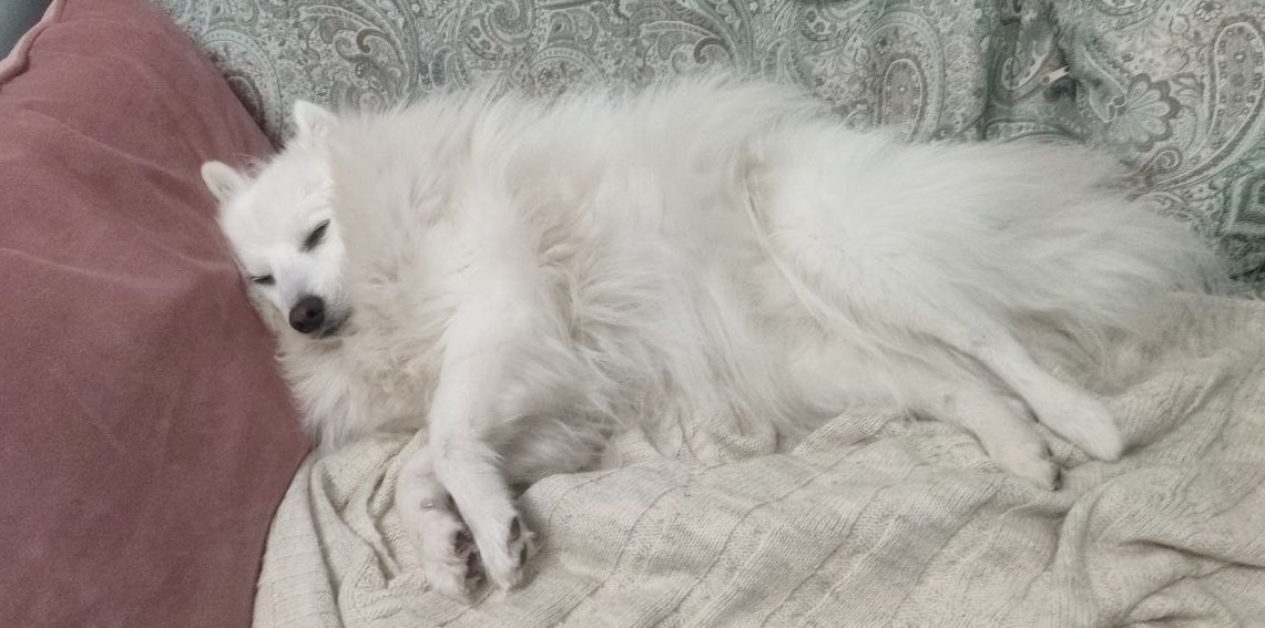 сабочка соскуфился во сне, пусть спит, мы тихонечко посмеëмся, чтоб не разбудить