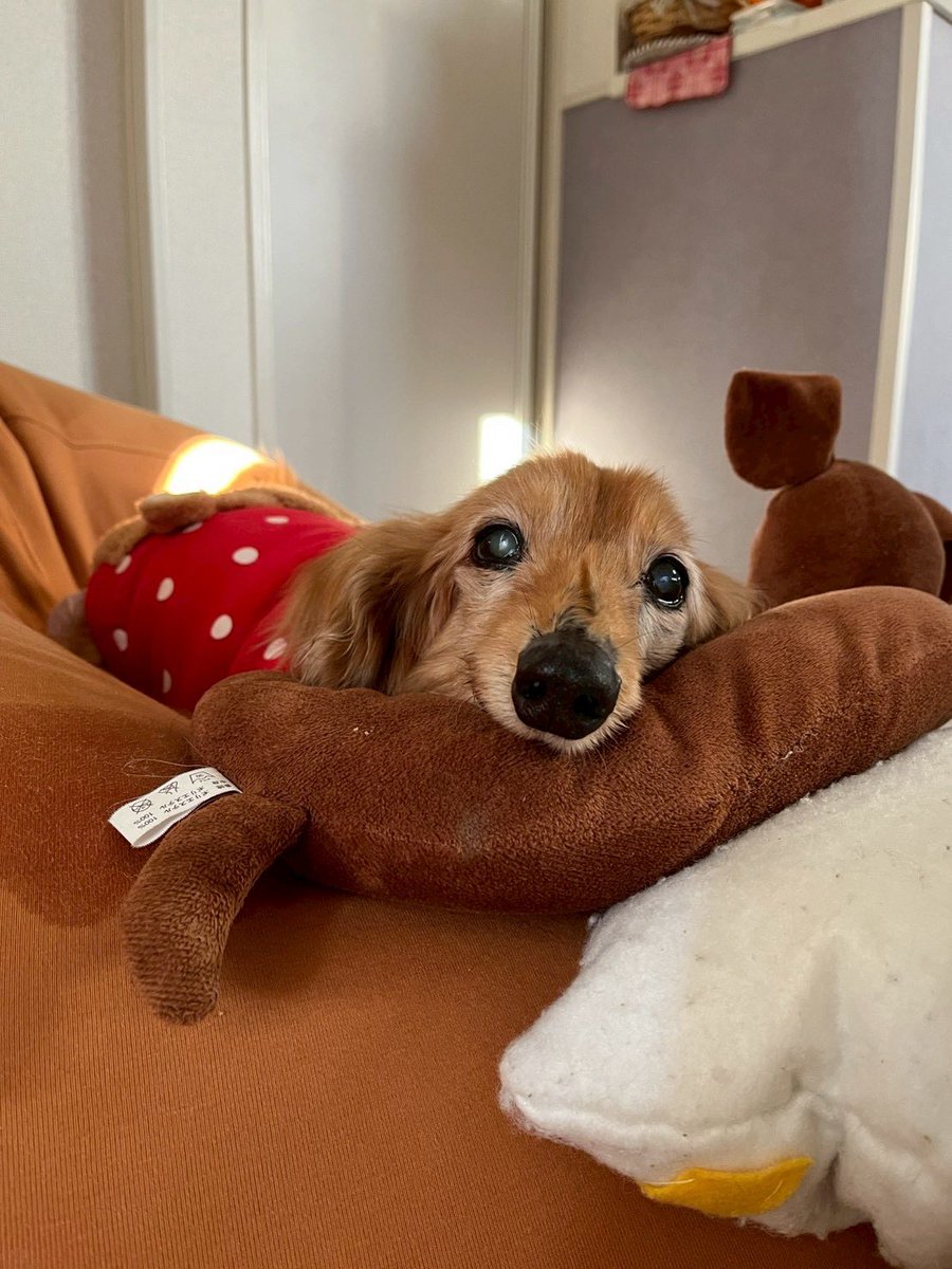 まろん🔰バイク初心者🔰 (@maron1234_) / Posts / X