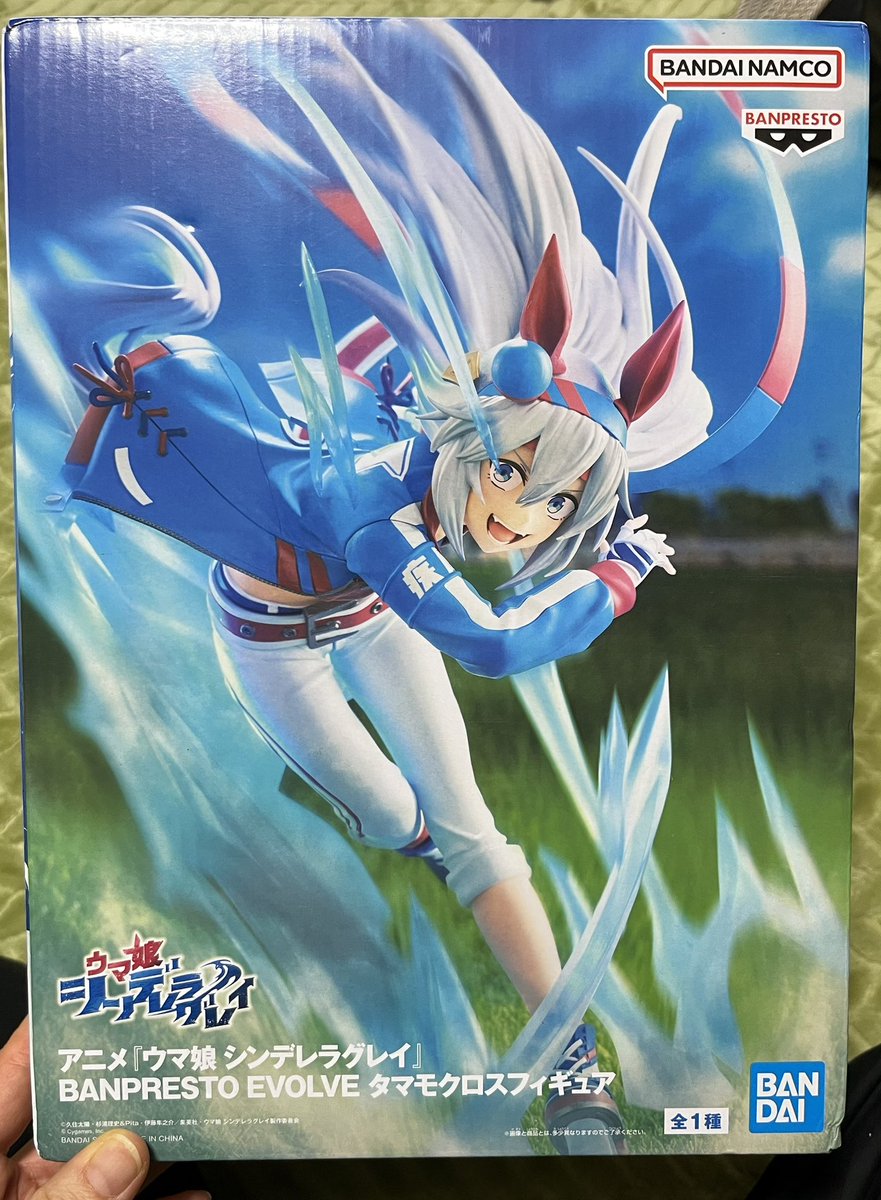 かっこいい！！って一目惚れして頑張ったタマモクロスこちらです…。 箱