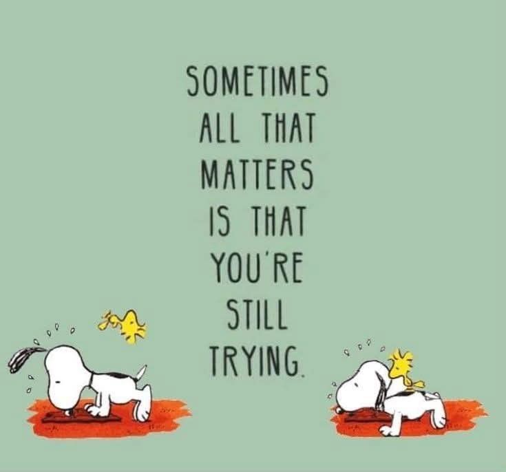 The Cat Corner (@cat_corner123) on Twitter photo 