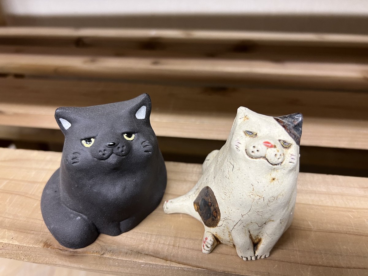 布施猫 (@c_a_takurofuse) / Posts / X