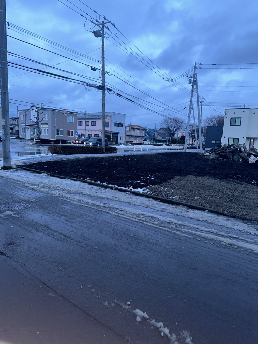 なくなりました怪しい葉っぱ🌱