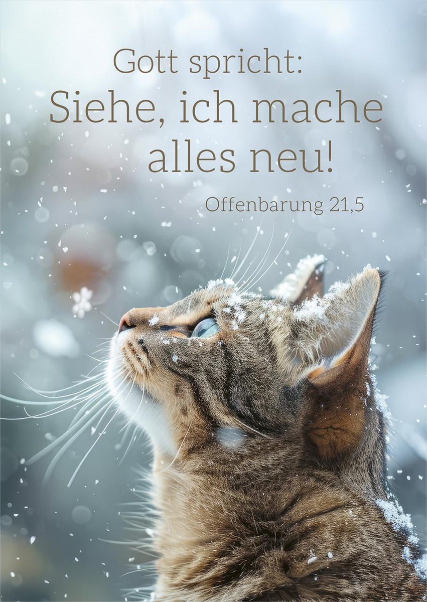 Jahreslosung 2026
Für mich ein Rhema
🙏📖🙏